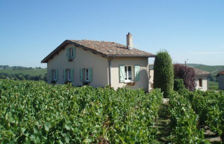 G&icirc;te n&deg;1314 R&eacute;gni&eacute;-Durette - Rh&ocirc;ne - "G&icirc;te du Mollard" &agrave; R&eacute;gni&eacute;-Durette, dans le Beaujolais - Rh&ocirc;ne.