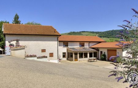 G&icirc;te n&deg;1698 Fleurie - Rh&ocirc;ne - G&icirc;te du Chais sur un Domaine viticole comportant 3 G&icirc;tes &agrave; Fleurie dans le Beaujolais des Crus - vignoble - Rh&ocirc;ne.