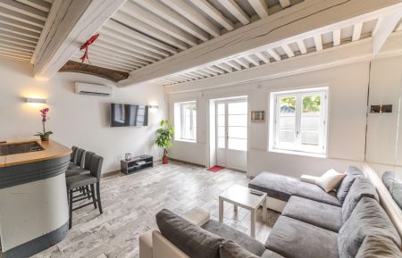 City Break n&deg;1741 Couzon-au-Mont-d'Or - Rh&ocirc;ne - Meubl&eacute; City Break / location de vacances "Le Rive droite" &agrave; Couzon Au Mont d'Or (Rh&ocirc;ne - Grand Lyon) : salon/accueil au rez-de-chauss&eacute;e.