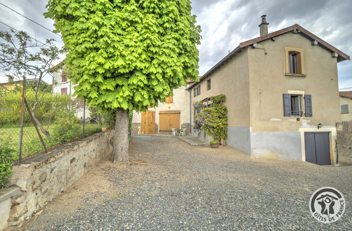 photo 0