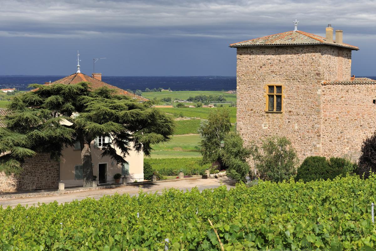 Château des Tours Gîte La Sarrasine