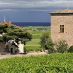 Grand G&icirc;te (46 personnes) La Sarrasine - Ch&acirc;teau des Tours &agrave; St-Etienne-La-Varenne dans le Beaujolais - Rh&ocirc;ne : la vue depuis les vignes situ&eacute;es juste au dessus du ch&acirc;teau.