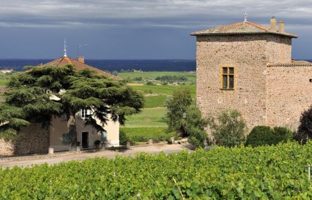 G&icirc;te de groupe n&deg;3037 Saint-&Eacute;tienne-la-Varenne - Rh&ocirc;ne - Grand G&icirc;te (46 personnes) La Sarrasine - Ch&acirc;teau des Tours &agrave; St-Etienne-La-Varenne dans le Beaujolais - Rh&ocirc;ne : la vue depuis les vignes situ&eacute;es juste au dessus du ch&acirc;teau.