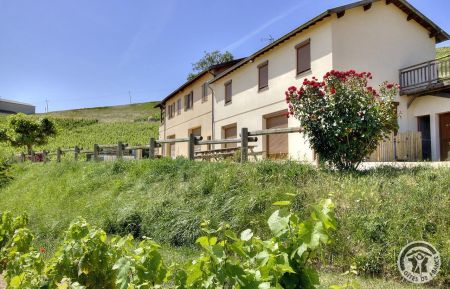 G&icirc;te n&deg;3084 Fleurie - Rh&ocirc;ne - Grand G&icirc;te - 12 personnes - "l'Artisan Vigneron" sur un Domaine viticole comportant 3 G&icirc;tes &agrave; Fleurie dans le Beaujolais des Crus - vignoble - Rh&ocirc;ne : la maison surplombant les vignes.