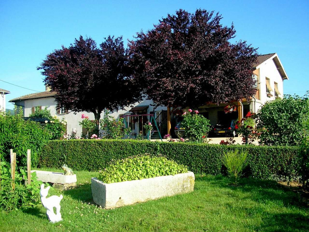 photo 0