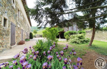 G&icirc;te n&deg;1982 Saint-Lager - Rh&ocirc;ne - G&icirc;te de l'Annexe des Fournelles - 11 personnes &agrave; Saint-Lager dans le Beaujolais - Rh&ocirc;ne : le jardin et la maison.
