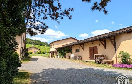 Chambre d'h&ocirc;tes n&deg;2214 Ch&acirc;tillon - Rh&ocirc;ne - Chambres d'H&ocirc;tes au Domaine Chasselay &agrave; CHATILLON, dans le Beaujolais - RHONE : la maison et les chambres d'h&ocirc;tes sur un Domaine viticole en activit&eacute;.