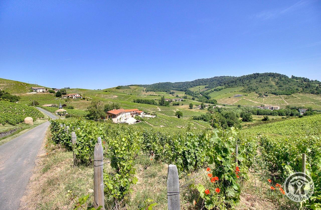Les 3 gîtes du vignoble Aufranc