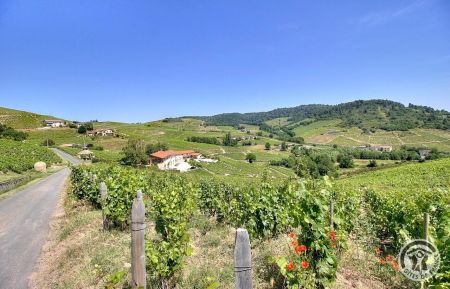 G&icirc;te de groupe n&deg;3106 Fleurie - Rh&ocirc;ne - Les 3 G&icirc;tes du Vignoble Aufranc - pour  28 personnes au total &agrave; Fleurie dans le Beaujolais des Crus - vignoble - Rh&ocirc;ne : le Domaine au coeur des vignes.