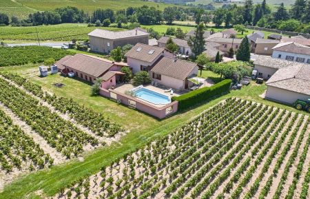 G&icirc;te n&deg;1980 R&eacute;gni&eacute;-Durette - Rh&ocirc;ne - G&icirc;te du Domaine Gilles Coperet, avec piscine, &agrave; R&eacute;gni&eacute;-Durette, dans le Beaujolais - Rh&ocirc;ne : le Domaine au coeur des vignes.