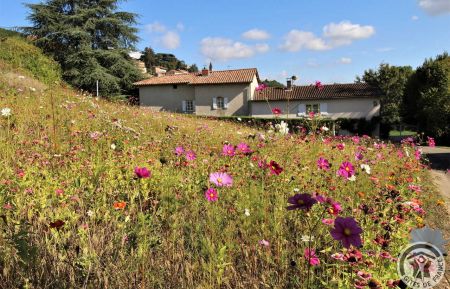 G&icirc;te n&deg;1581 Vaux-en-Beaujolais - Rh&ocirc;ne - G&icirc;te 'La Glycine' (pour 12 personnes) &agrave; Vaux-en-Beaujolais (Rh&ocirc;ne - Beaujolais vignobles) : l'acc&egrave;s depuis le village.